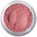 ASC Minerals Foundation Loose Powde