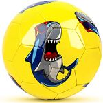 Kids Soccer Ball Size 1 with Ball Pump, Champhox Children Sports Ball Cartoon Design Toddlers Recreative Indoor Outdoor Ball for Kids, Toddlers, Girls, Boys, Children, School (Shark)