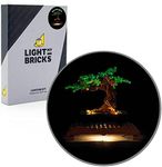 LIGHT MY BRICKS Light Kit Compatible with Lego Bonsai Tree 10281 (Set Not Included)