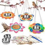 Bird Feeder Kits