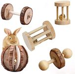 Tesion Hamster Chew Natural Wooden Toys, Pets Teeth Care Molar Ball for Small Animals Guinea Pig Rats Chinchillas Bunny Rabbits Bird Toys Accessories(5 Pcs)