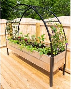 Gardener’s