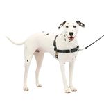 PetSafe Easy Walk Harness, No-Pull Walking Harness for Dogs, Adjustable Fit, Includes 1.8m Lead, Medium/Large-Black