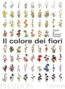 Il colore 