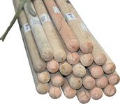 Sterling Ventures Replacement Wooden Handle for Brooms & Mops Multi-Pack (1)