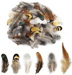 180pcs 6 Style Natural Feathers Assorted Mixed Feathers for Dream Catcher Crafts Decoration