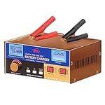 12V 18A Lithium Battery Charger Vol