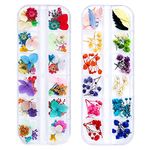 iFancer 108 Pcs Dried Flowers Nail Art 62 Colors 3D Dry Flowers for Nails 2 Boxes Small Tiny Dried Flowers for Nail Art Little Pressed Real Natural Flower Nail Art Design Decoration Supplies