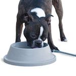 K&H PET PRODUCTS Pet Products Thermal-Bowl Heated Cat & Dog Bowl 32oz. Slate Gray 12W