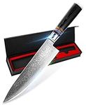 8 Inch Chef Knife Kitchen Knife VG10 Damascus Professional Chef Knife High Carbon 67-Layer Ultra Sharp Kitchen Meat Sushi Cutting Gyuto Chef Knife [Gift Box]Ergonomic Micarta Handle-Acrylic Rim(8 Inches)