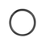 NAVZA Surgical Steel Nose Rings- Nose Hinged Hoops for Men and Women - Body Piercing Jewelry Earrings Lip Rings 6mm-7mm-8mm-9mm-10mm