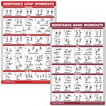 QUICKFIT 2 Pack - Resistance Bands and Resistance Loops Workout Posters - Set of 2 LAMINATED Charts - Resistance Band Tubes and Loops Exercise Charts (Laminated, 18" x 24")