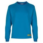 Beavers Scout Tipped Sweatshirt 2015 (30)