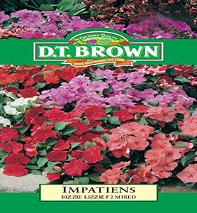 DT Brown I