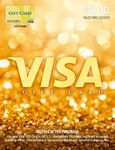 Visa $100 Gift Card (plus $5.95 Pur