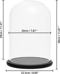 BELLE VOUS Glass Dome Cloche with Black Wooden Base, 30cm – Display Case for Fairy Lights, Centerpieces, Antiques