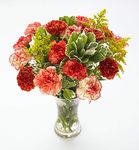 Novelty Carnation Bouquet with Our 14 Day Freshness Guarantee.