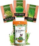 HOME GROWN Cat Grass Seeds - Grow Cat Grass for Indoor Cats - Cat Grass Seeds Bulk - Refill Cat Growing Grass Kit - Heirloom Cat Grass Seed (Cat Grass - 3pack)