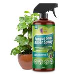 Fungus Gnat Killer Spray 200ml for Houseplants Seedlings and Young Plants Organic Insecticidal Soap Formula Targets Sciarid Flies Larvae and Adults for Indoor and Outdoor Soil Treatment Use