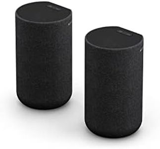 SONY SA-RS5 Altavoces Traseros Inalámbricos Adicionales, Batería Incorporada, 180W, Negro