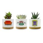 Elysraki Friends TV Show Merchandise Gifts, 3 Pack Ceramic Succulent Pots, Vintage Style Patterns, 3.15 inch Succulent Planter Pots with Drainage Hole and Bamboo Saucer for Home Decor