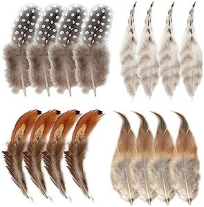 200pcs Plumas Decorativas Naturales Plumas de Cola Decoraciones Plumas de Colores Plumas de Pollo Decoracion Plumas Manualidades Artesanales para DIY Corona de Navidad Boda