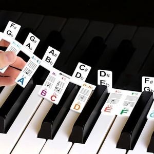 Removable Piano Key Stickers Note Labels,61 Digital Keyboard Notes Guide with Black-Key Half Step Come with Storage Box(Rainbow)