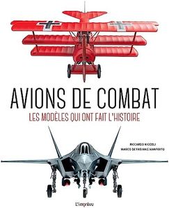 Avions de combat: Les modèles qui ont fait l'Histoire