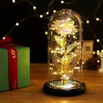 EARTHCONE Galaxy Rose Flower, Forever Rose Light in Acrylic Dome, Gifts for Valentine’s Day, Birthday, Wedding Anniversary (1Pcs) (Rose2)