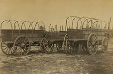 Three wagons, used for army supplie