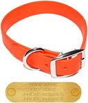 Regal Dog Products Large Orange Wat