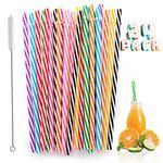 Reusable Hard Plastic Straws