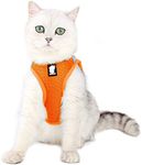 Dotoner Cat Outdoor Walking Harness