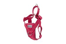 RC Pet Products Tempo No Pull Dog Harness, Large, Heather Azalea, Medium (68804014)