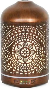 Earnest Living Essential Oil Diffuser Metal Diffuser 250 ml Timers Night Lights and Auto Off Function Home Office Humidifier Aromatherapy Diffusers for Essential Oils Gift