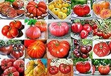 Mixed Seeds! 30 Giant Tomato Seeds,