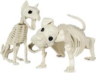 2Pcs Halloween Animal Skeleton Decors, Pose-N-Stay Puppy Skeleton Dog and Cat Bones for Halloween Graveyard Home Party Decor (2, Dog & Cat)