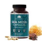 Saptamveda Irish Sea Moss 500MG 60 Capsules (Pack of 1) With Bladderwrack, Burdock, Turmeric & Bioperine Powder | Thyroid Support | Immune Health, Healthy Skin & Joint Support | Formula For Wellness