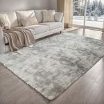 Kazami Area Rugs 8x10 Feet Soft Shaggy Carpet for Living Room, Bedrooms, Fluffy Rug for Kids Room, Room Decor, Nom Slip Plush Large Rugs for Play Room (Light Grey)