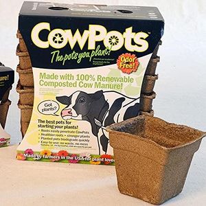 Park Seed CowPots 4-inch Tall Square Nitrogen-Rich Plant Seedling Starter, Set of 12