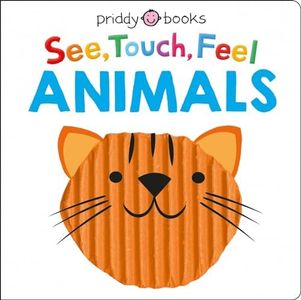 See Touch 