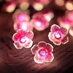 Cherry Blossom Fairy String Lights 
