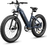 CYCROWN CycVerve Electric Bike, 100