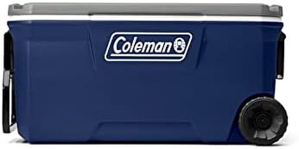 Coleman 31