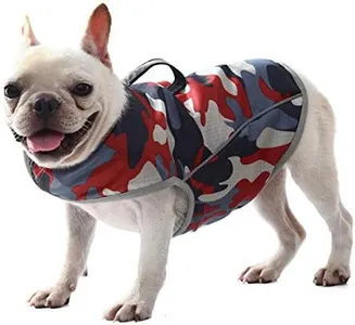 Dog Anxiet