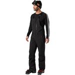 Helly-Hansen Mens Legendary Insulated Bib Ski and Snowboard Pant, 990 Black, Large