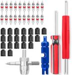 ptiysta 44pcs Stem Removal Tool, Spool Removal and Installation Tool, Four-Way Valve Tool, Spool, Stem Cover. Suitable for All Types of Tires