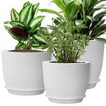 MUAEEOK Plant Pots 25/23/20 cm, Set of 3 Modern Decorative Plastic Planters with Drainage Holes and Saucers Plastic Flower Pots Nursery Planting Pot for House Plants Indoor Flowers Plants (White)