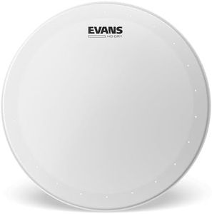 Evans HD D