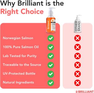 Brilliant Salmon Oil for Pets, 300ml – Pure Omega-3 Supplement